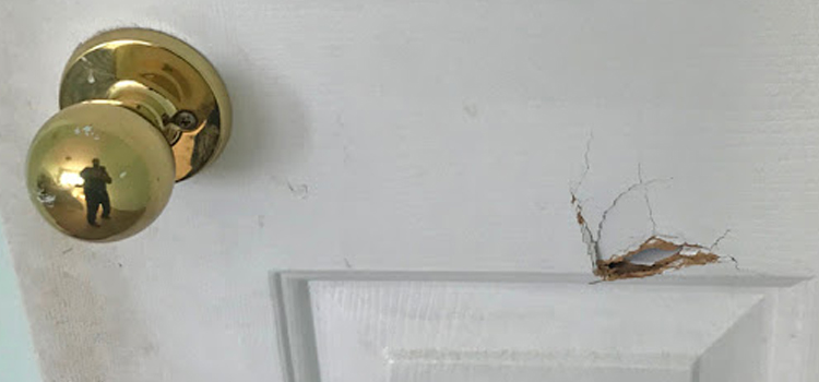 interior door hole repair Cherryland