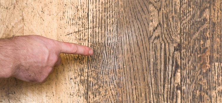 Wood Door Scratch Repair in Cherryland